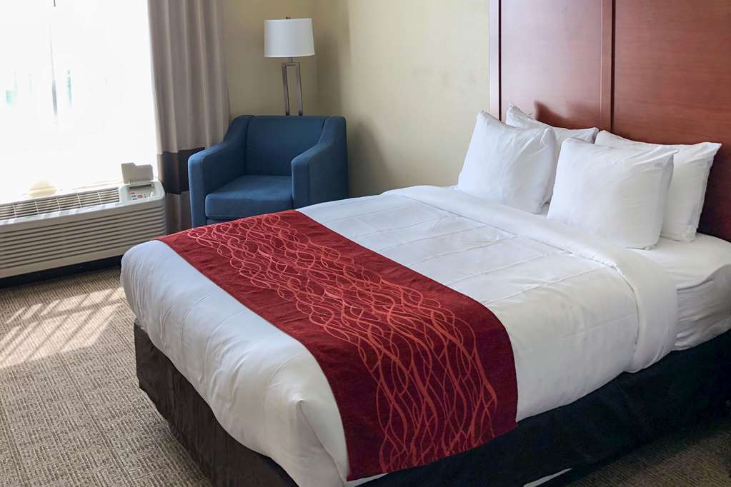 Comfort Inn & Suites Nashville Franklin Cool Springs Room photo
